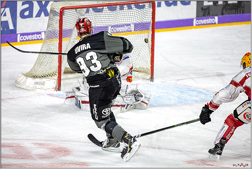 DEL; Koelner Haie - Fischtown Pinguins Bremerhaven, 06.01.2019